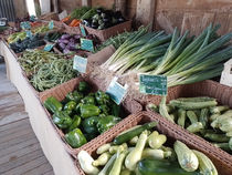 La Ferme des Grenouilles - Villeneuve-Loubet