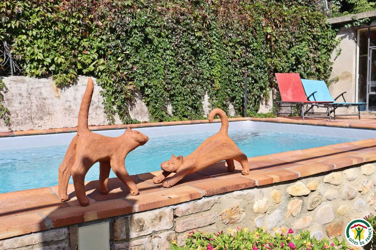 Piscine à partager (ouverte de mai à sept,) 8x3m, profondeur 1m50.