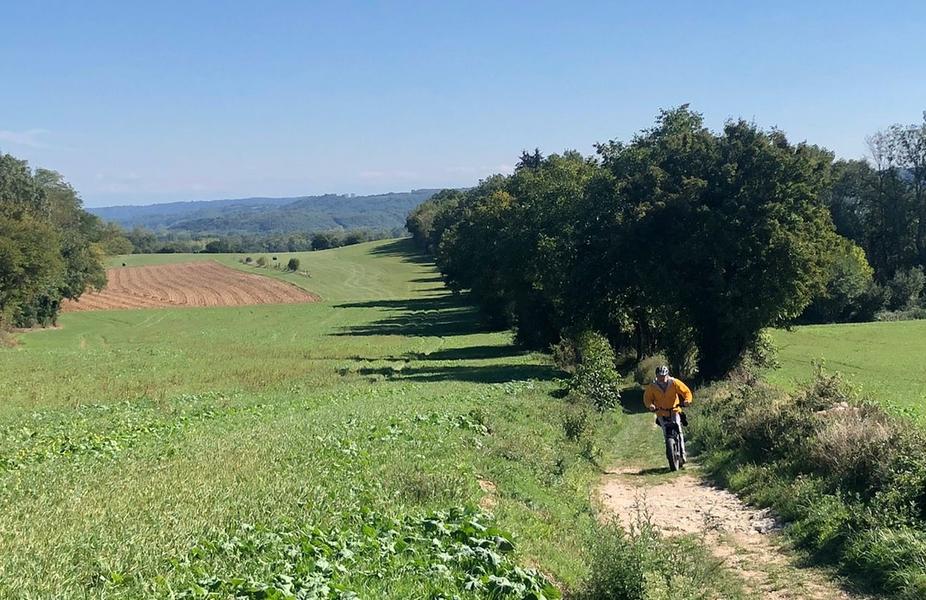 Randonnées avec panoramas en trottinettes électriques - A moins d'une heure de Lyon