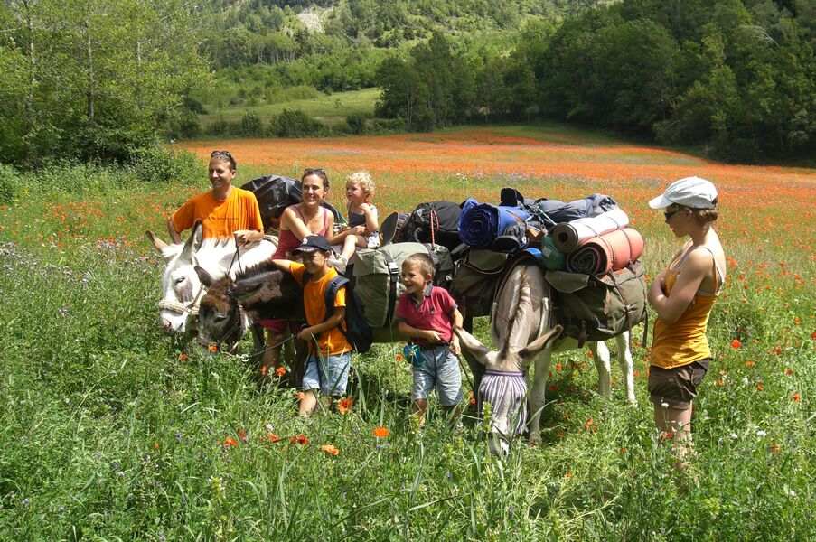 Rando âne et famille