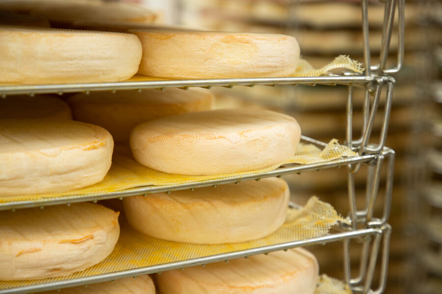 Reblochons de Bogève