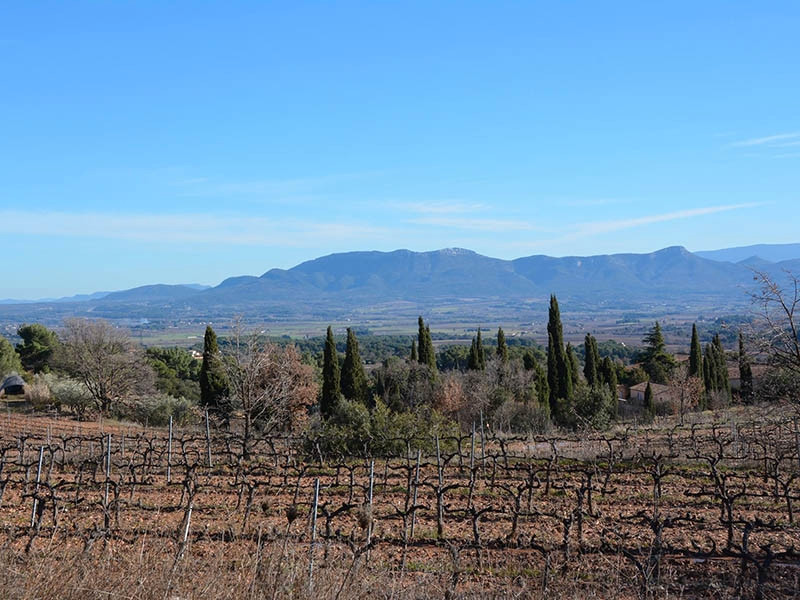 Domaine de Saint-Ser