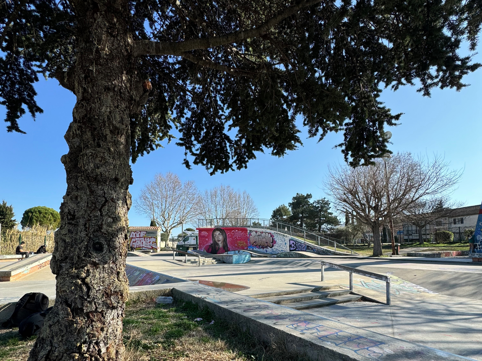 Skatepark — photo 2