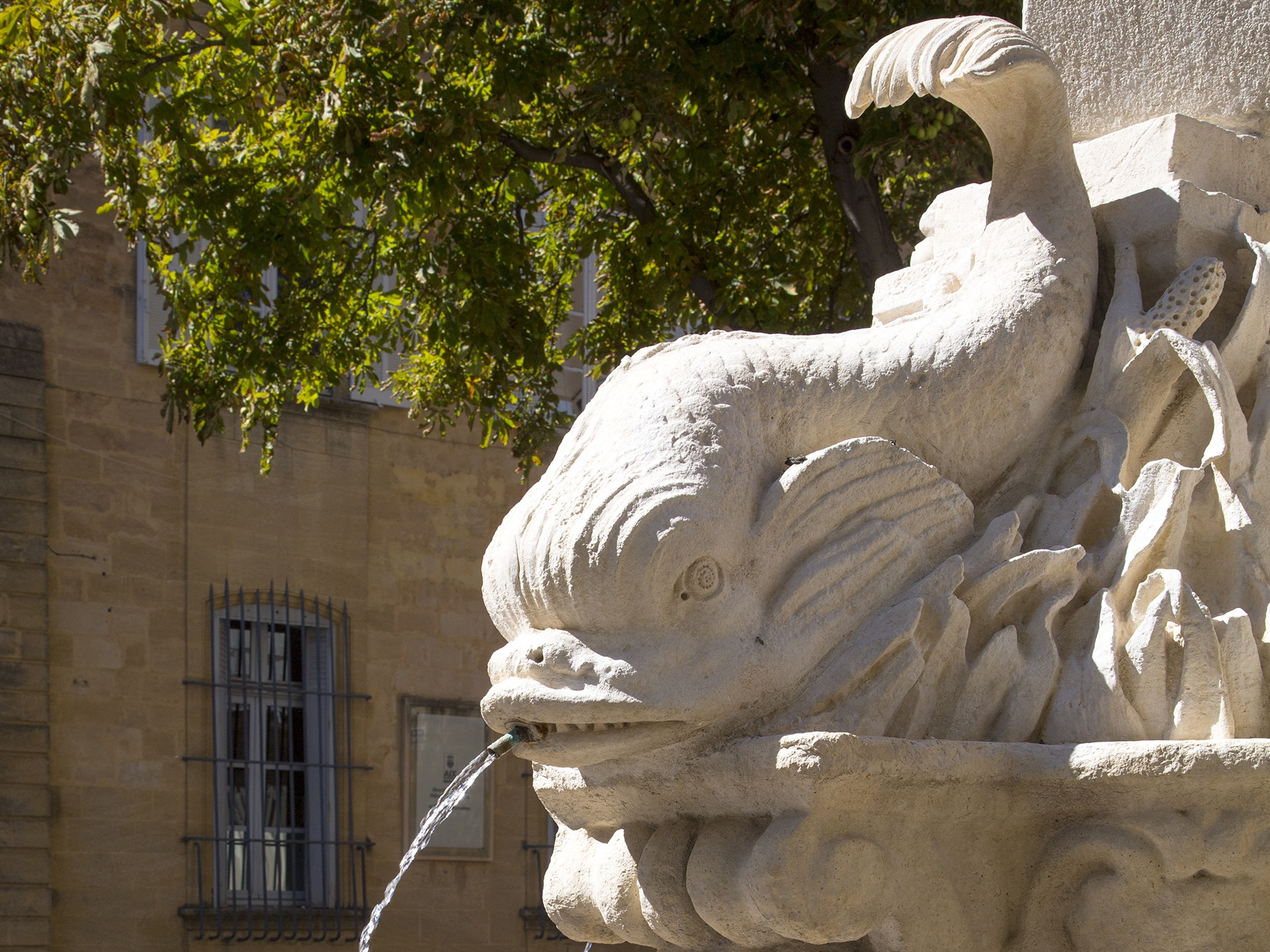 Fontaine des Quatre Dauphins
