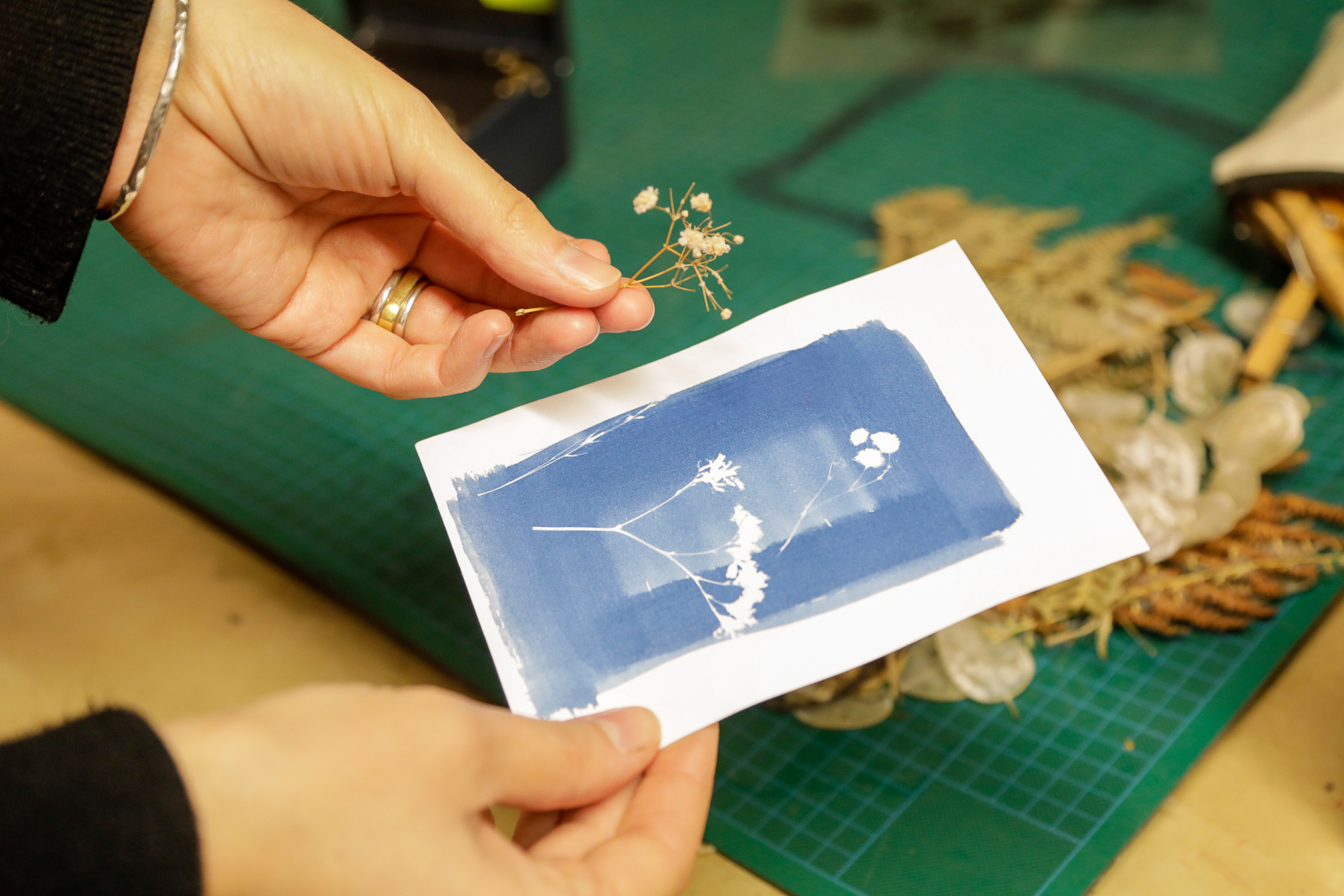 Atelier Materia - photo 2