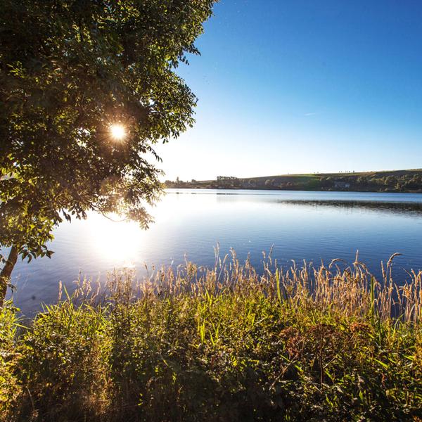 Lac de Saint-Front - © D. Frobert - © D. Frobert