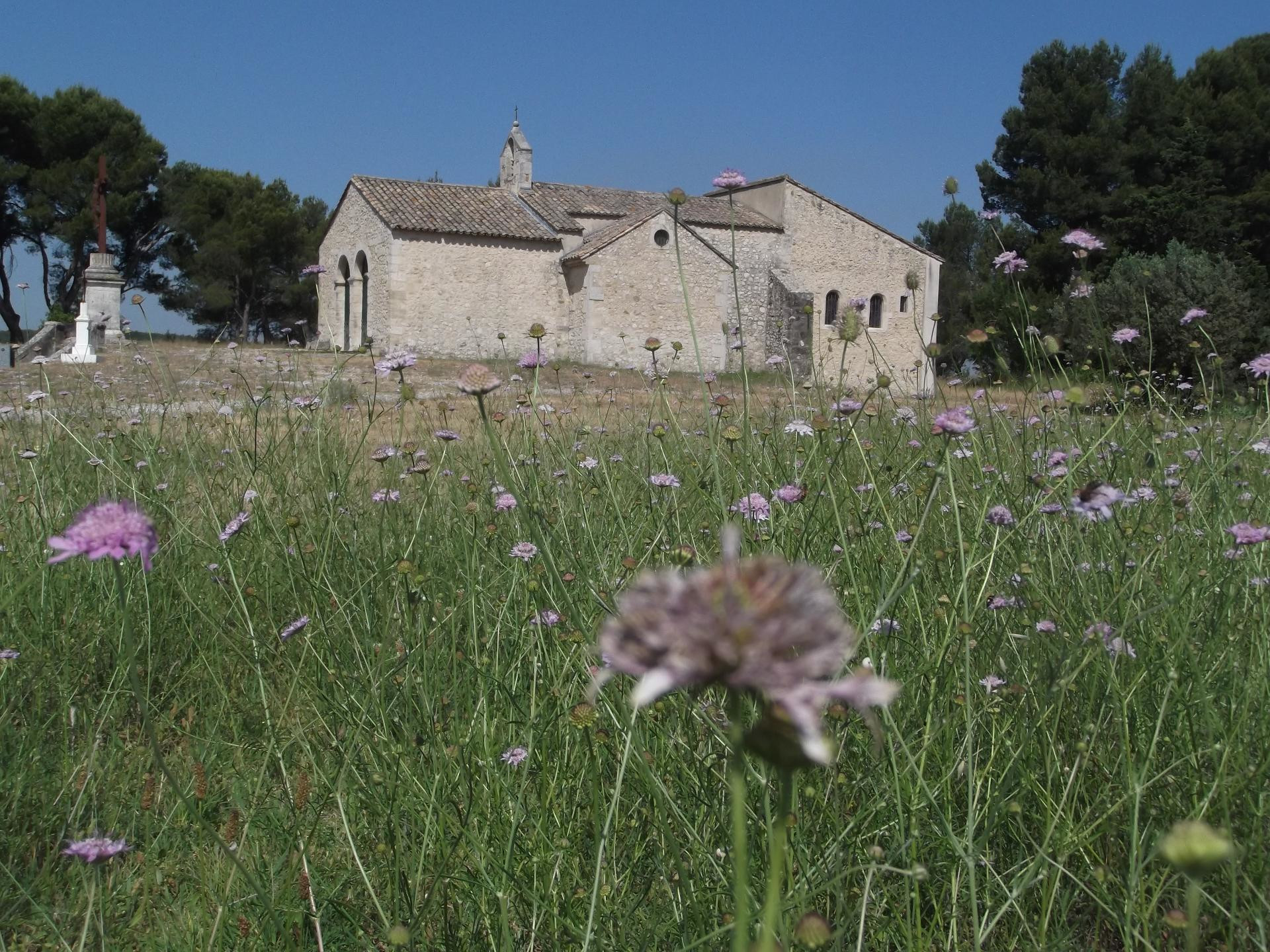 Bouches-du-Rhône en Paysages - Noves Les collines et la plaine du Comtat