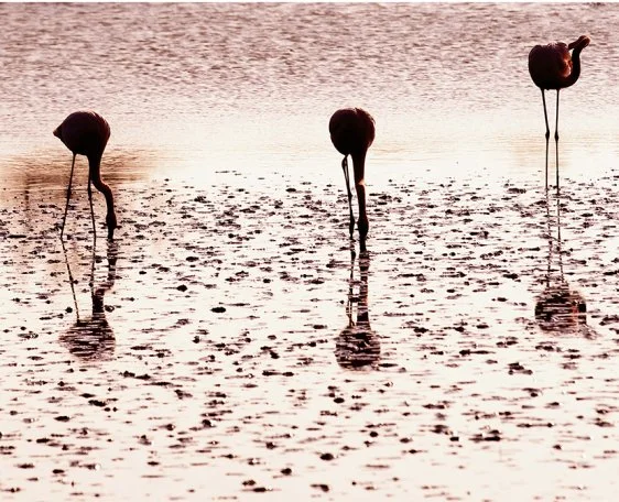 Rendez-vous Automne-Photographie Nature 26 Octobre