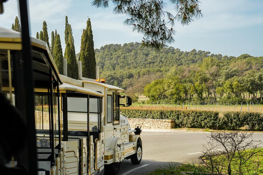 Petit train des vignes - Balade au cœur du terroir londais_La Londe-les-Maures