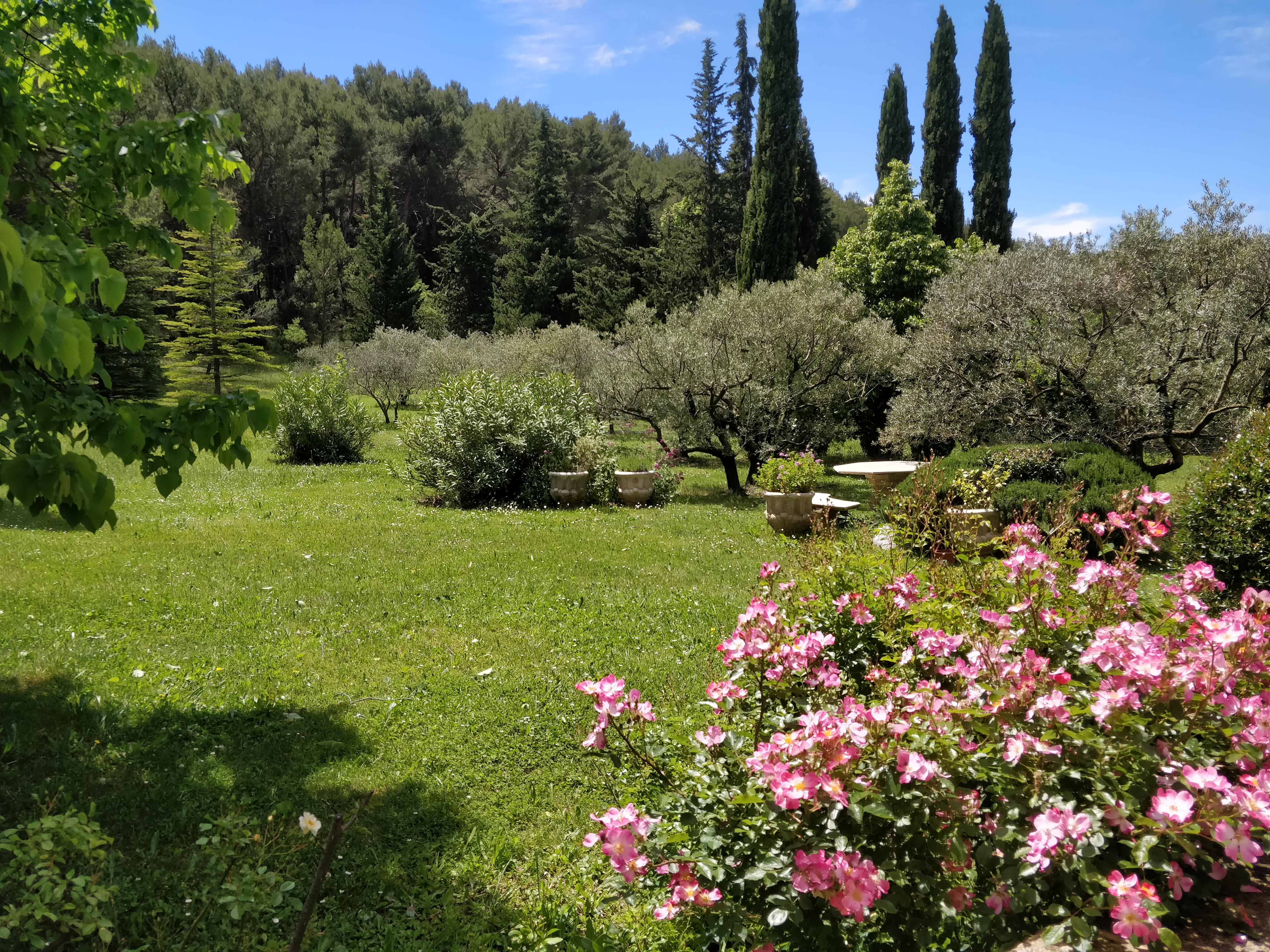La Bastide Bleue, Vauvenargues - photo 10