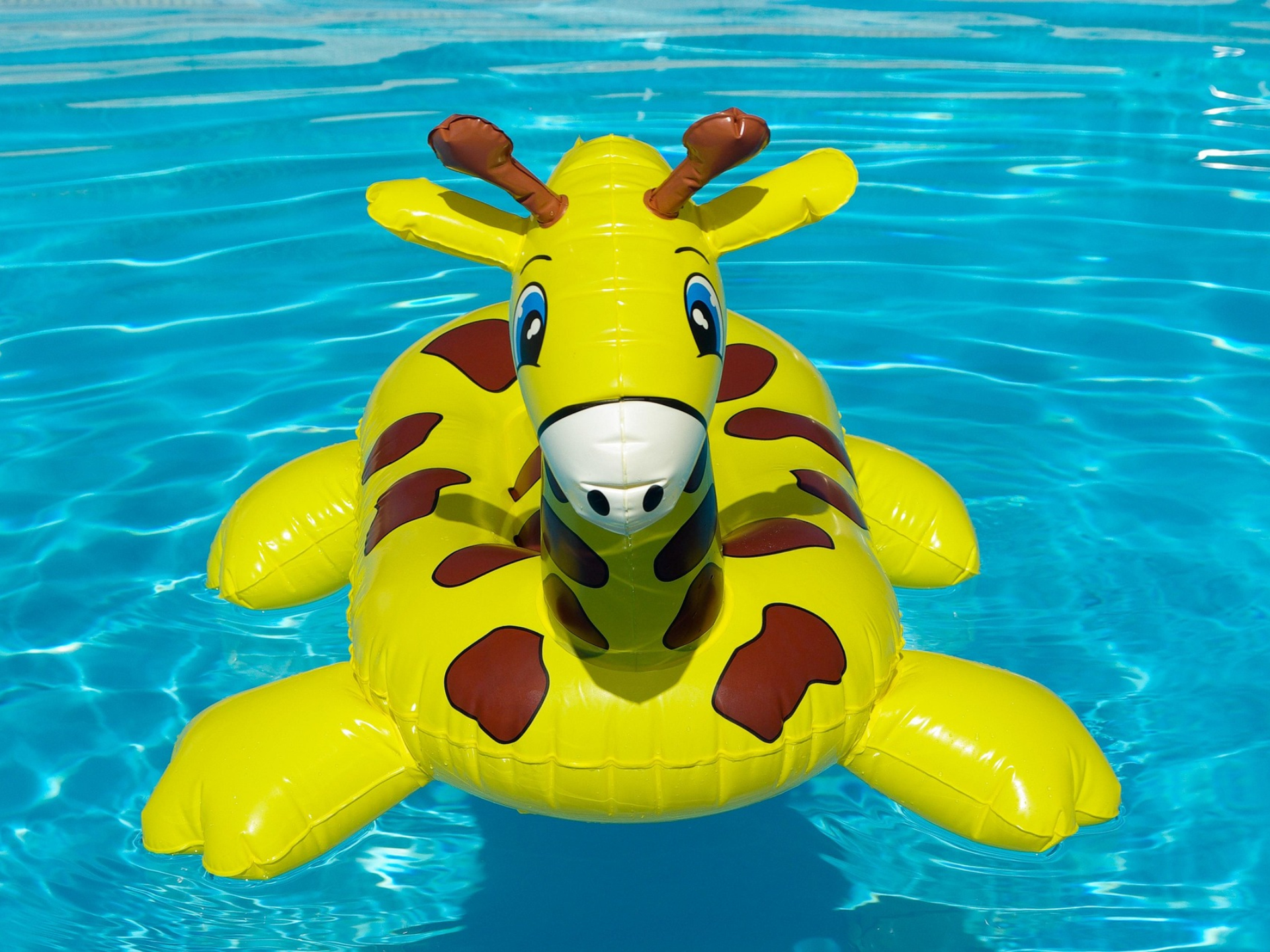 Pool Party