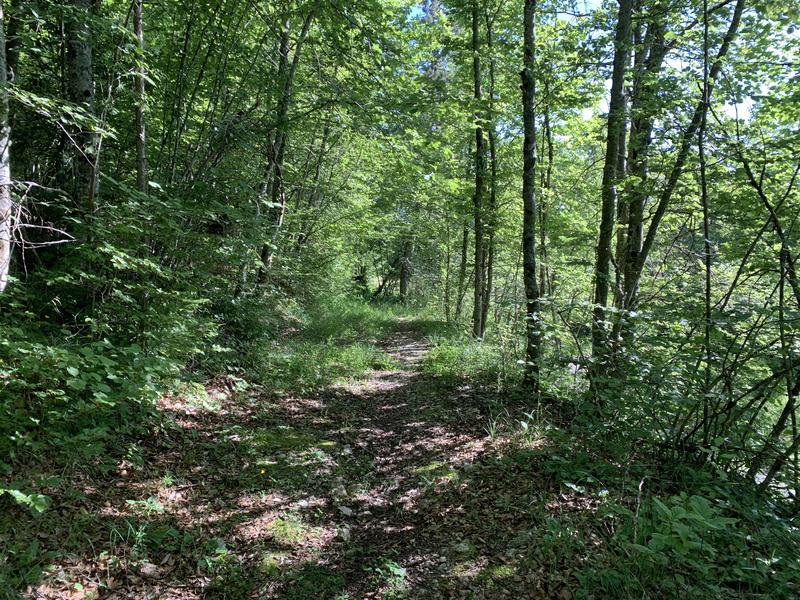 Randonnée - Le circuit des quatre villages