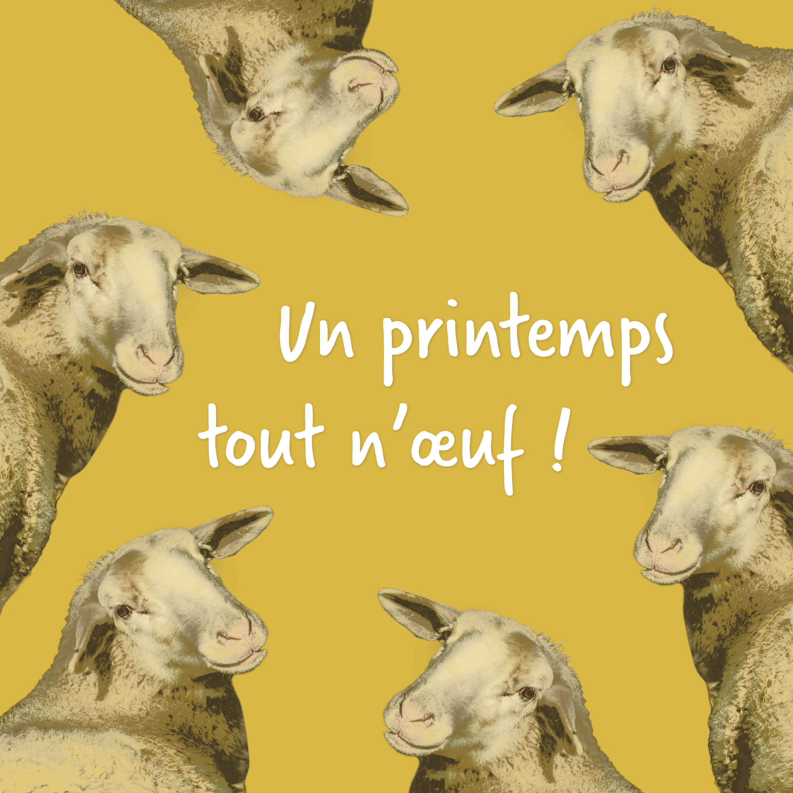 Un printemps tout n'œuf !