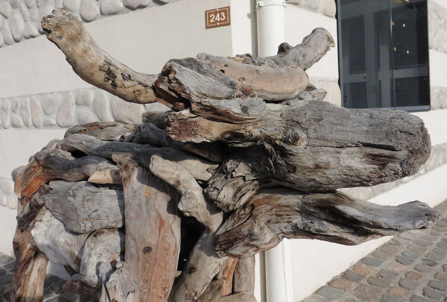 Art Vache : La Vache en bois flotté