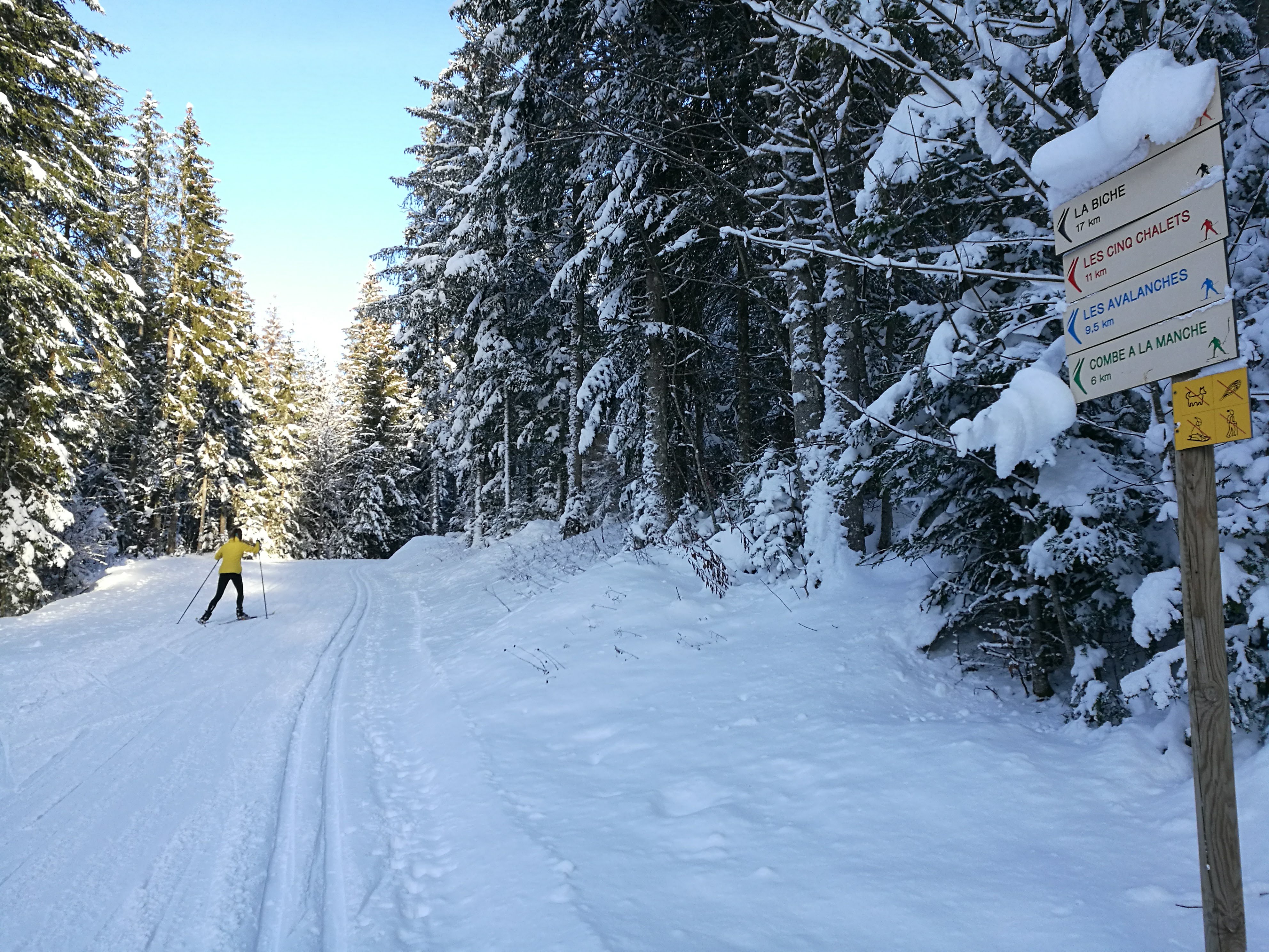 Ski_Giron_Dec2020_©M_Jacques_OT_TerreValserine (2)