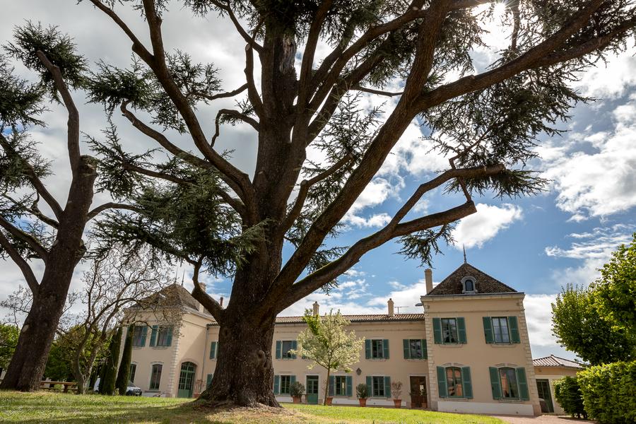 Château des Jacques