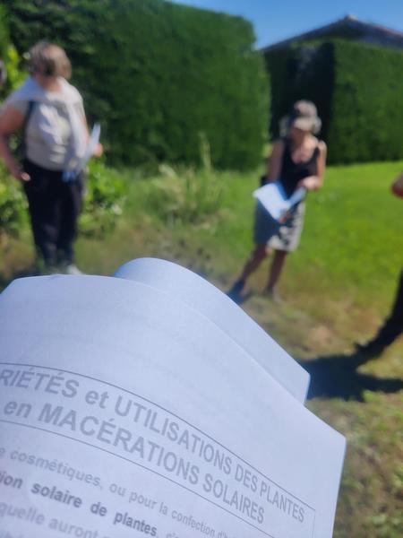 Balade botanique et atelier avec La magie des plantes_Tournon-sur-Rhône