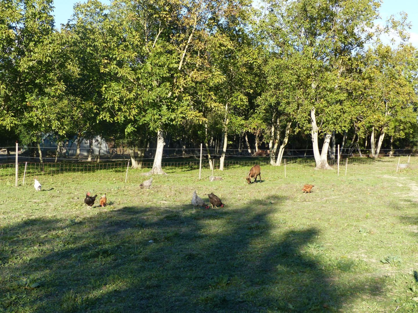 Le Tipi Provençal, Mollégès - photo 24