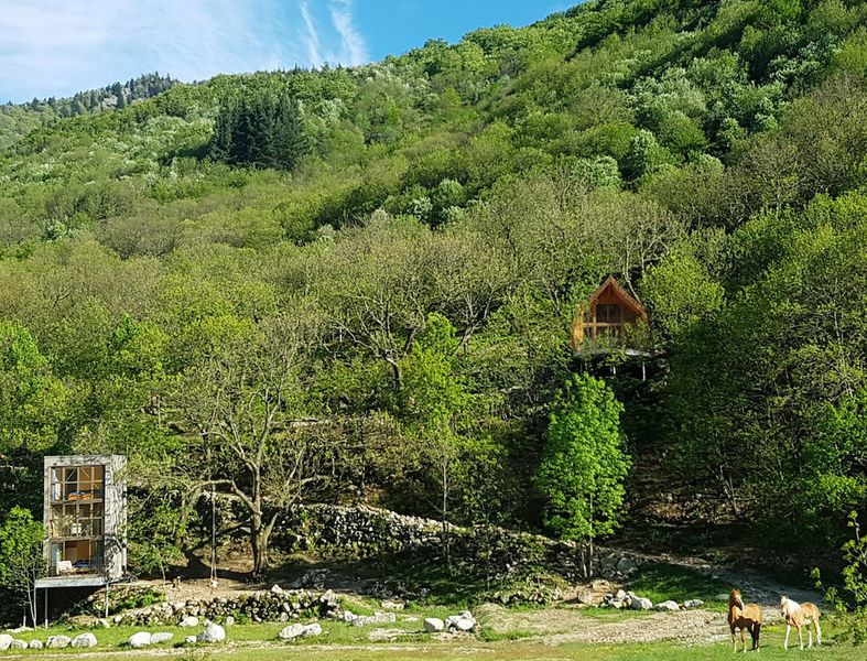 Cabanne du loup bleu 6