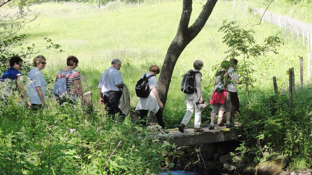 Les promenades du jeudi : l'intermédiaire