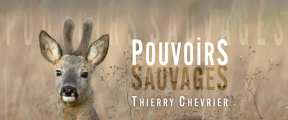 Pouvoirs Sauvages_Andrézieux-Bouthéon