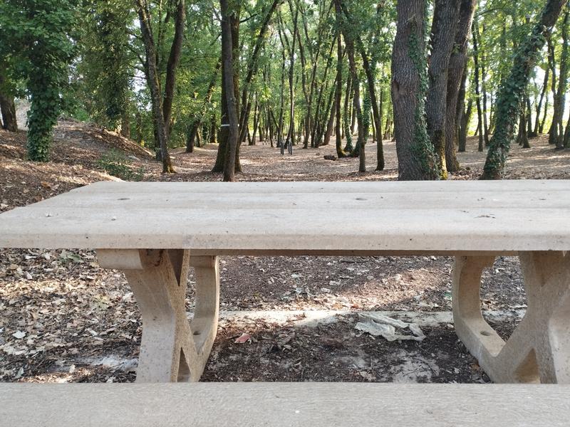 Table de pique-nique