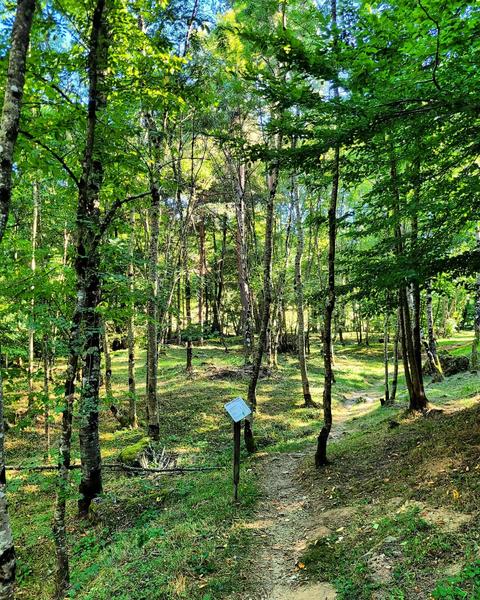 Arboretum_Saint-Félicien