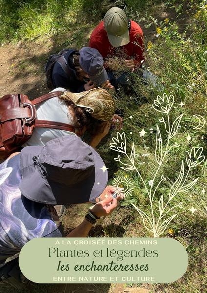 Plantes et légendes : les enchanteresses | La Forêt des Arboris