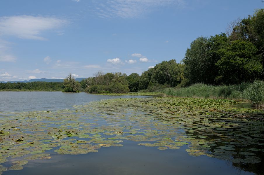 Pêche aux étangs de la Serre