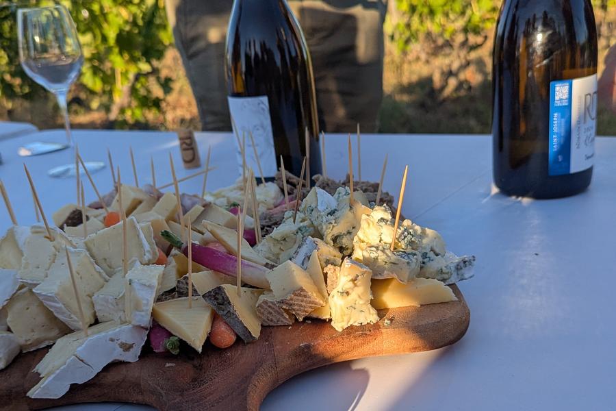 Apéro sunset dans les vignes - Domaines d'Aniello et Vallet_Félines