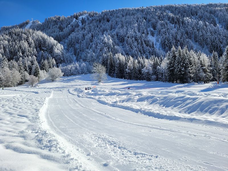 Neige fraiche à Argentière