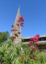 clocher_exterieur_20240425_jlg.jpg