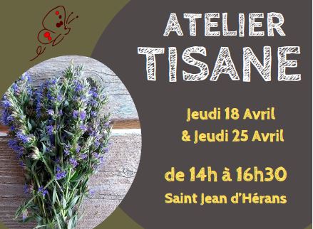 Je crée ma tisane !