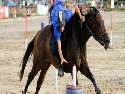 Centre Équestre les Oliviers