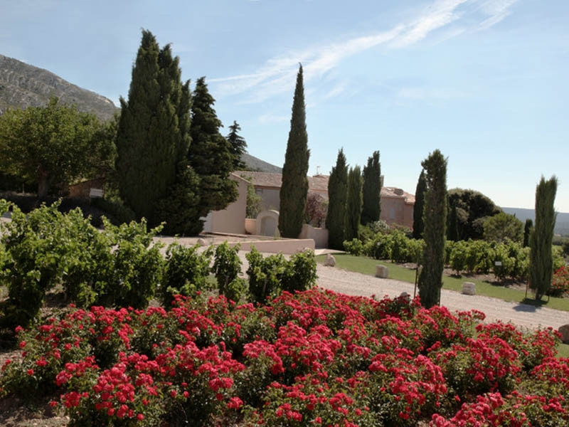 Domaine de Saint-Ser - photo 4