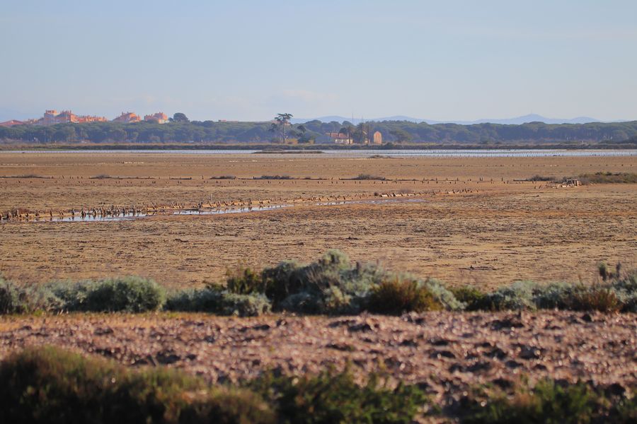 Salins des Pesquiers