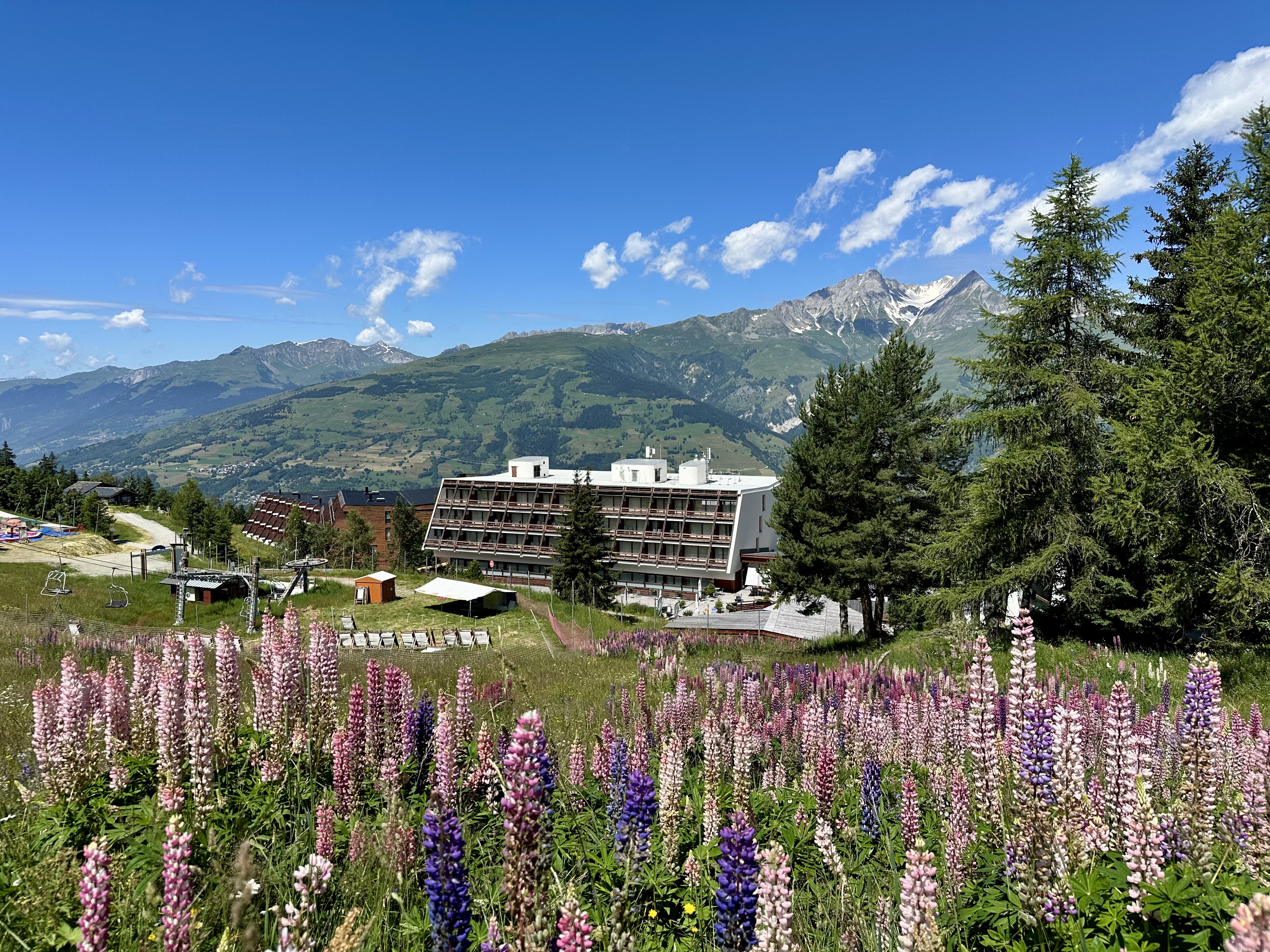Hôtel La Cachette