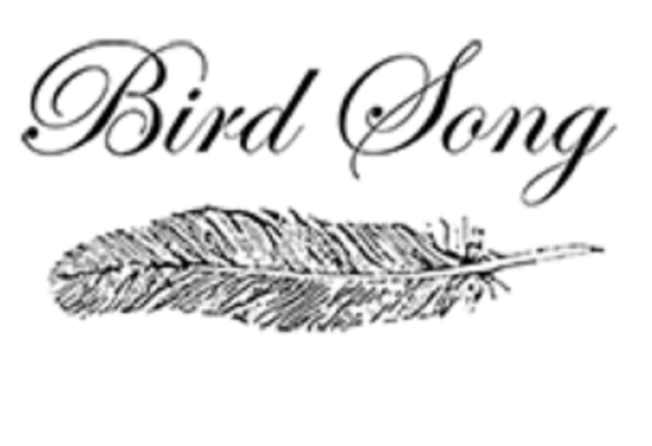 Bird Song