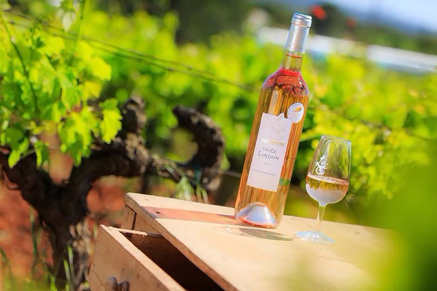 Domaine de Lolicé_Puget-Ville