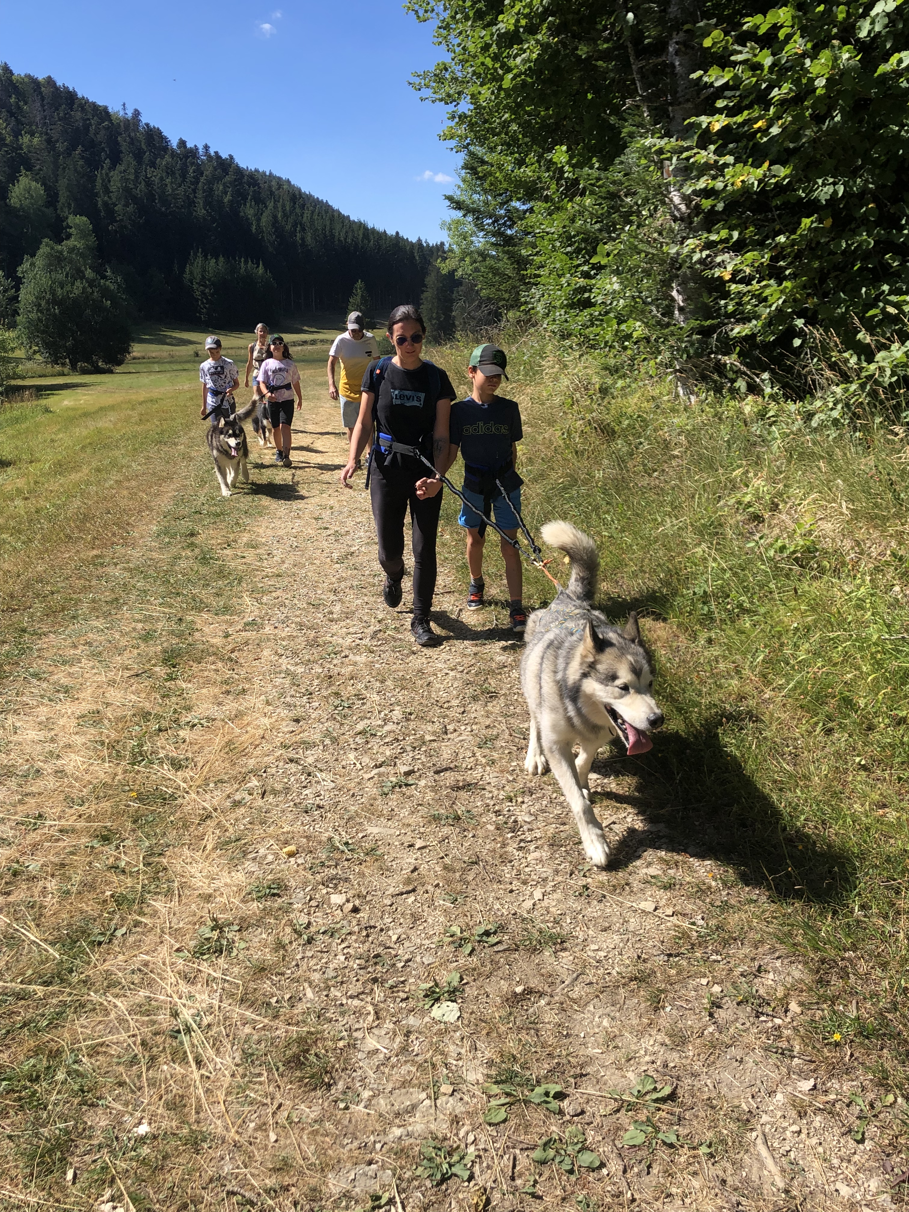 Cani marche avec Au Cœur des Loups