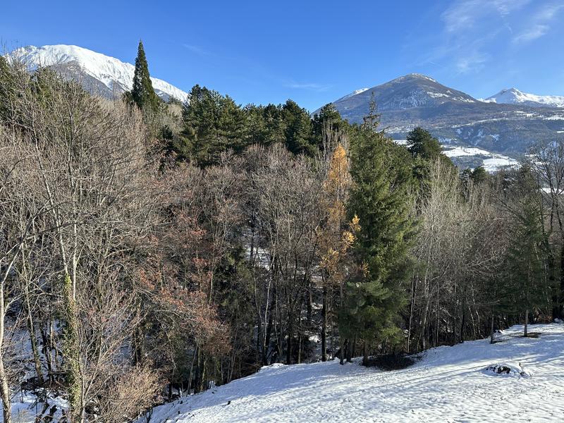 L'Éterlou - © ©Spyckerelle Anne