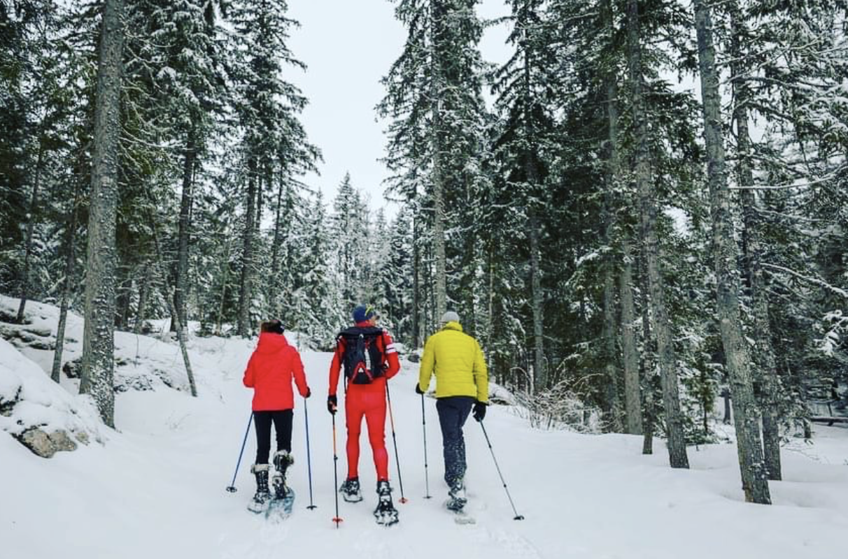 Raquettes à neige