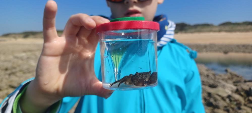 P'tite pêche à pied