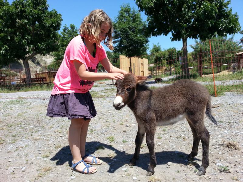 Parc animalier à Lussas