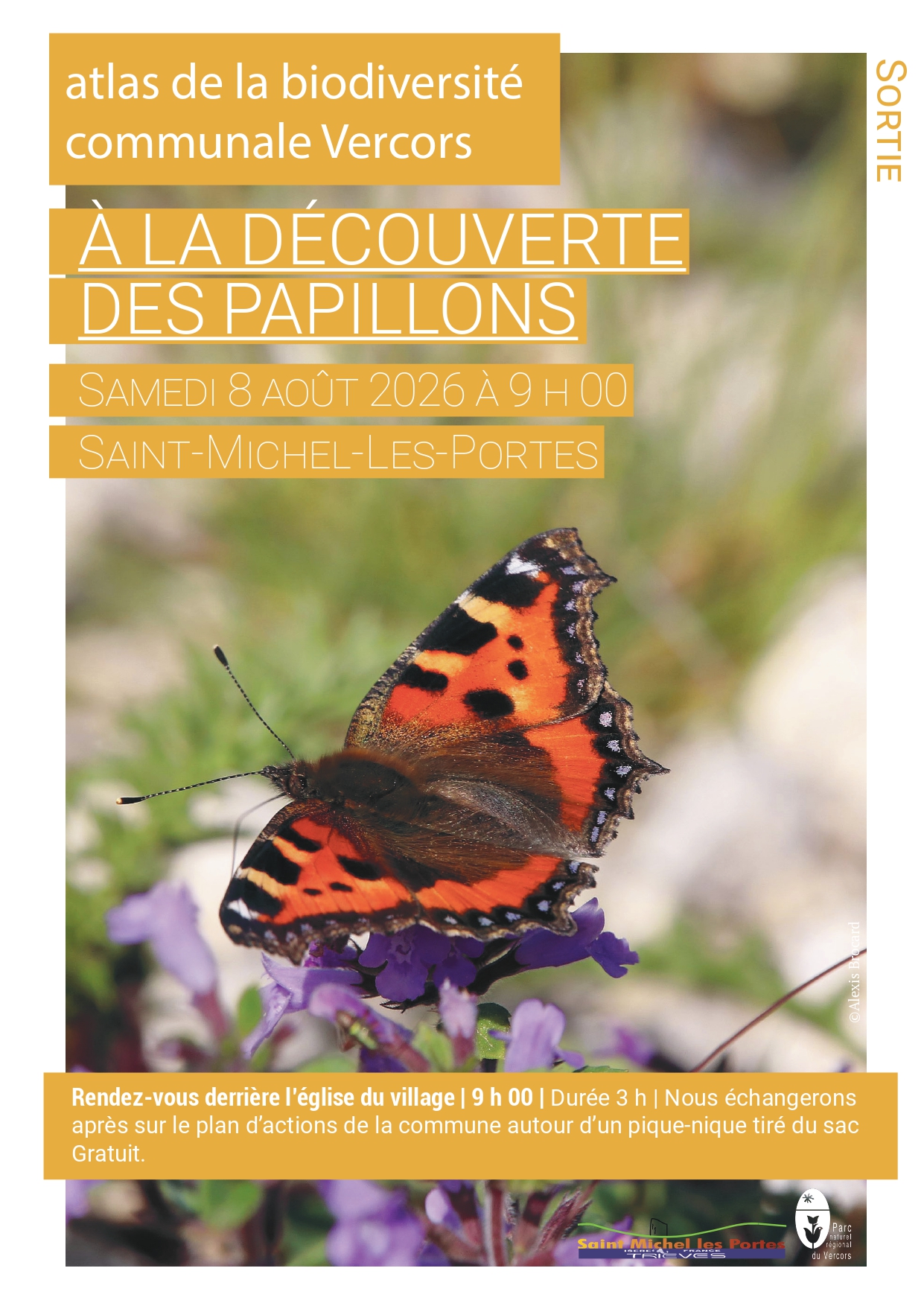 à la découverte des papillons_Saint-Michel-les-Portes