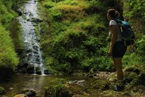 Cascades du Dardannet