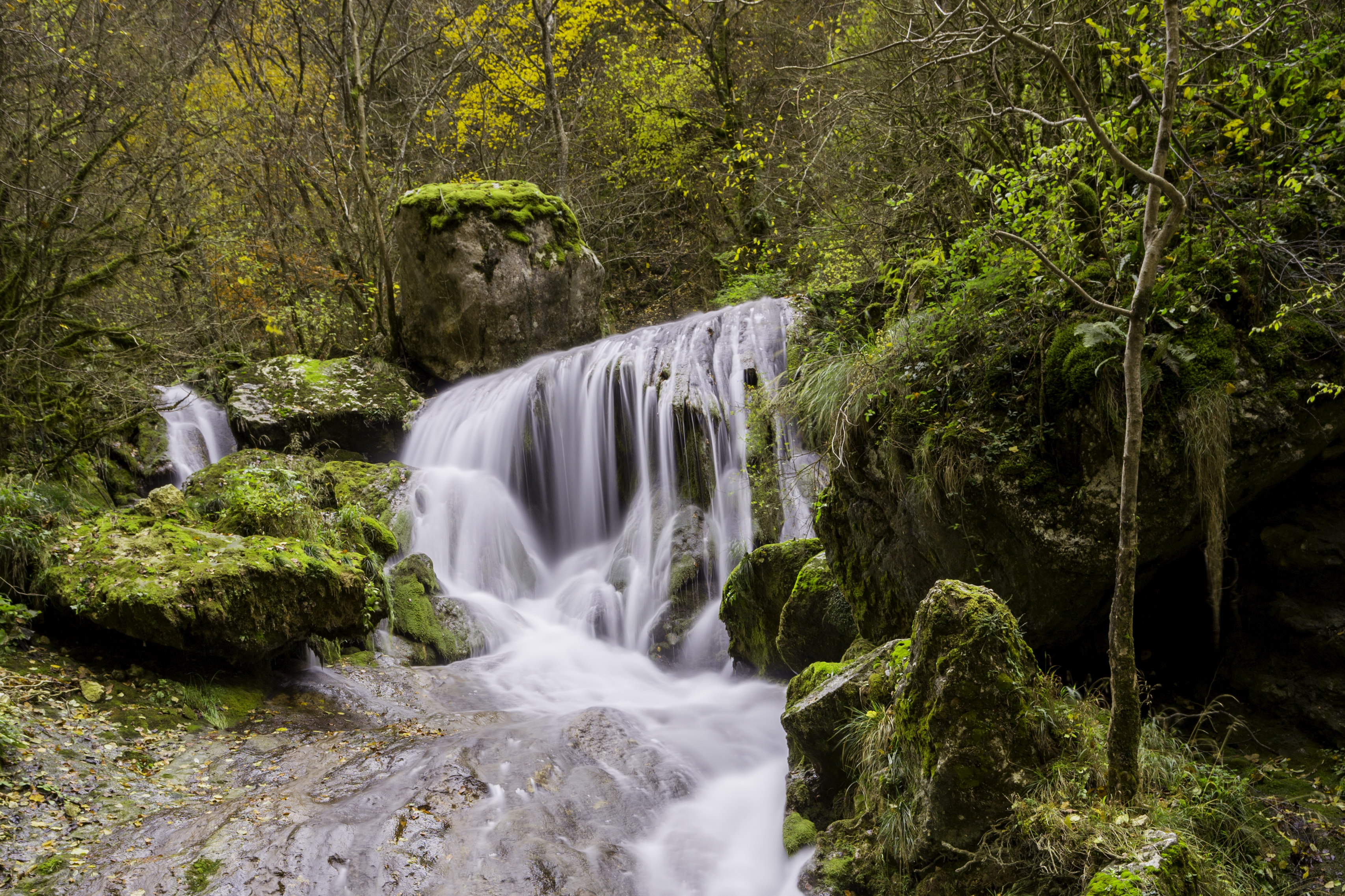 Les Gorges du Nan_Cognin-les-Gorges