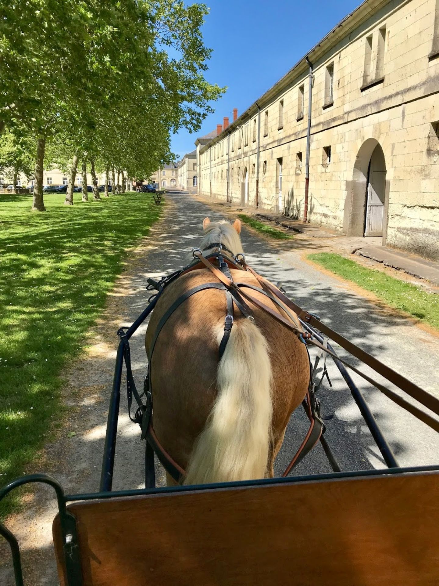 Balades en attelage au Haras des Ouches