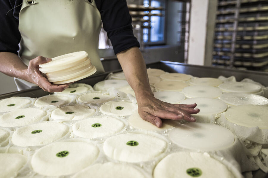 visuel la ferme au village