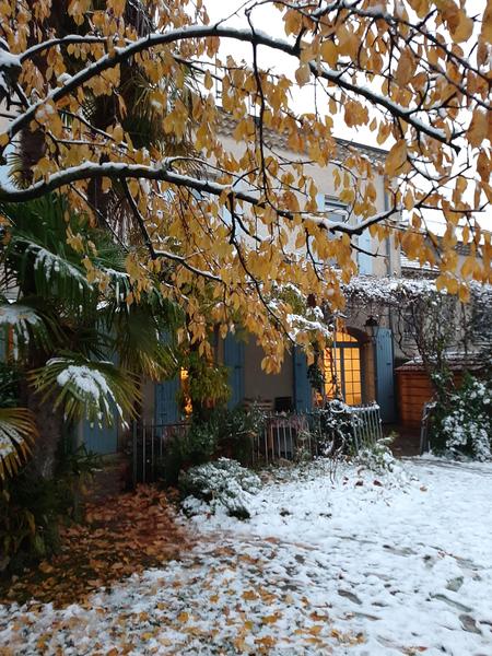 le jardin sous la neige